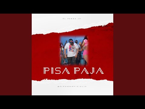 Pisa Paja