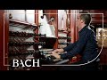 Bach - Herr Jesu Christ BWV 1114 - Jacobs | Netherlands Bach Society