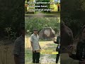 Makam Pahlawan Mandor Kalimantan Barat Terkenal Angker Story Horor Sejarah