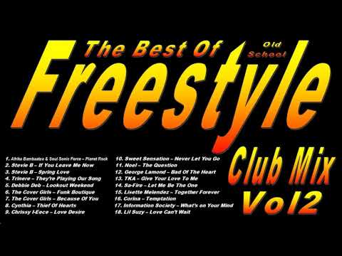 The Best Of Old School Freestyle Vol.2 - (DJ Paul S)