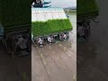 Japan Small Rice Transplanter Japan