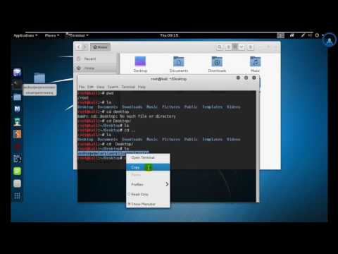 29 Debian and Linux Basics Commands