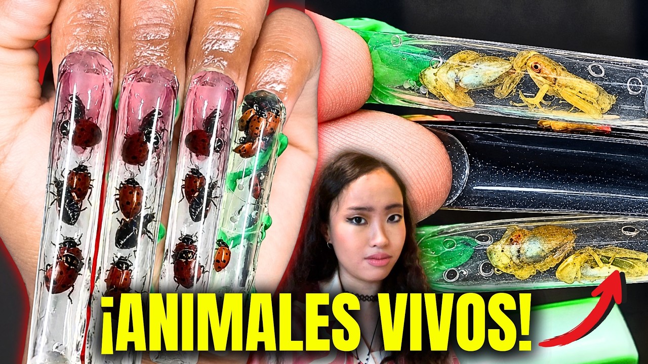 ENCAPSULAN ANIMALES VIVOS EN UÑAS | La nueva locura viral