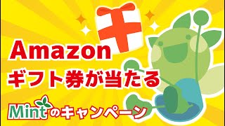 【プレゼント企画】MintのTwitterキャンペーン！【Amazonギフト券】