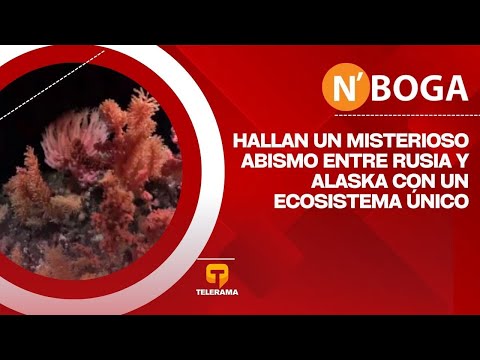 Hallan un misterioso abismo entre Rusia y Alaska con un ecosistema único