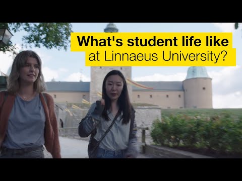 Life as an international student at Linnaeus University
