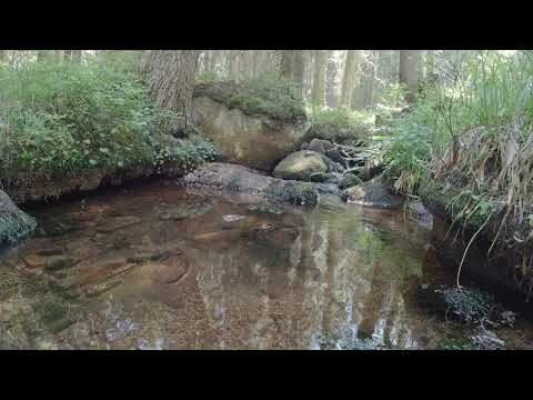 Relax in the mountain 4K