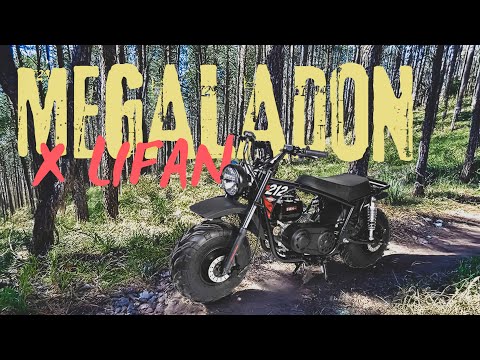 What’s Different About The New Megalodon Motor?