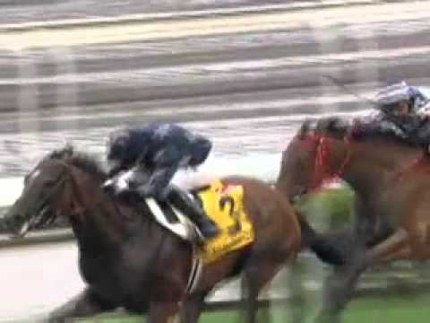 [Audemars Piguet QEII Cup 2009] PRESVIS won the Audemars Piguet QE II CUP 2009