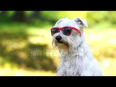 GARAGE GANG - BIMBO BAMBA (Prod. GARAGE GANG)