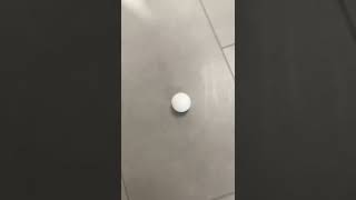 Download lagu Amazing sound of pingpong ball on a metal table and on the floor #shorts #pinpongball @AuntieJovs123 mp3