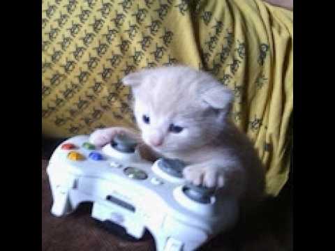 Granny (PC) v1.3 Any% Car Ending - World Record