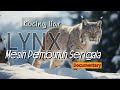 Mesin Pembunuh Serigala Di Alam Liar Kucing Bukan Sembarang Kucing Inilah Lynx