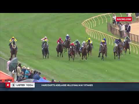 Railway Stakes 2025 - VOLCANIC EXPRESS (Qlty LR) Listed Oakbank 19 April