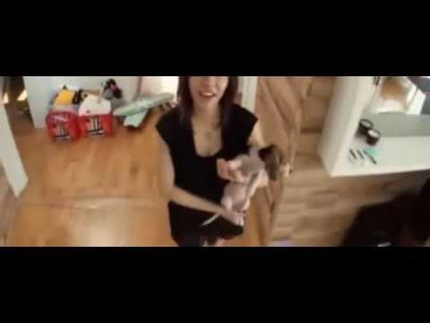 140921 Roommate Season 2 Girls Generation SUNNY