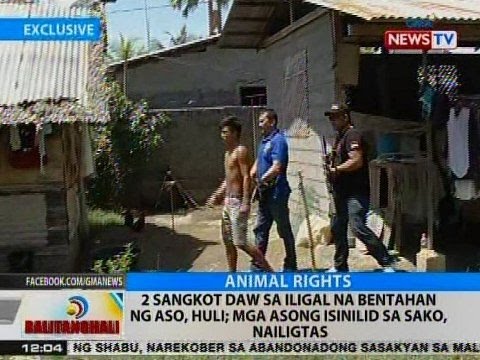 BT: 2 sangkot daw sa iligal na bentahan ng aso, huli sa Pangasinan