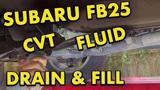 Subaru Outback CVT Fluid Replacement