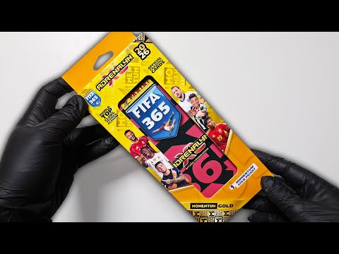 Panini Adrenalyn XL FIFA 365 2026 - Momentum Gold Tin