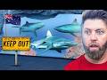 Private Tour of Australia’s Best Aquarium DEFAULT Thumbnail