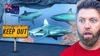 Private Tour of Australia’s Best Aquarium MQDEFAULT Thumbnail