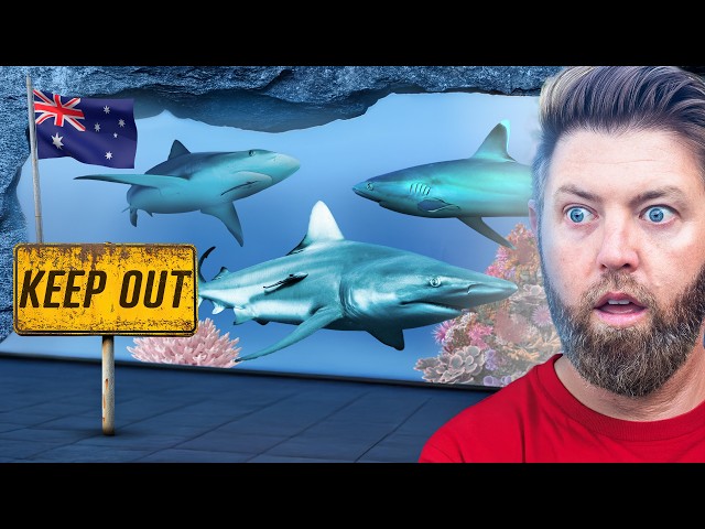 Private Tour of Australia’s Best Aquarium SDDEFAULT Thumbnail