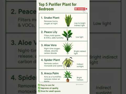 Top 5 Purifying Plants for Your Bedroom! 🌿 #gardening #garden #plants #flowers #indoorplants