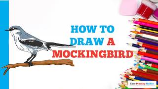 How to Draw a Mockingbird in a Few Easy Steps: Drawing Tutorial for Beginner Artists