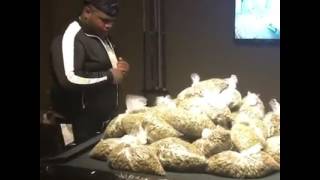 Fatboy sse making love to the loud