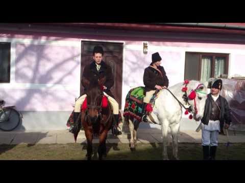 Plugusorul de la Dridif, 2013