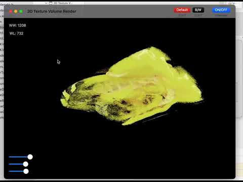 保健学科 Volumy Ver1.0.0RC テスト