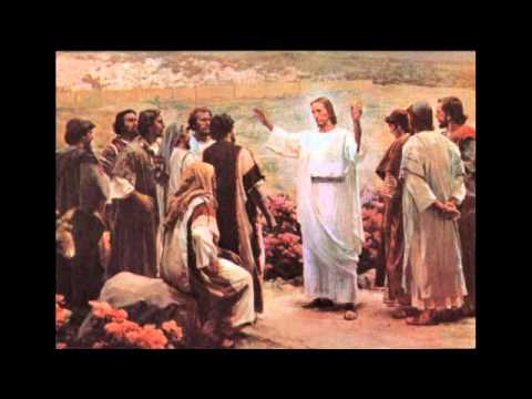 Homilia 31 de agosto 2014