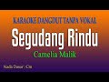 SEGUDANG RINDU Camelia Malik Karaoke Tanpa Vokal