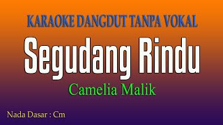 Download lagu SEGUDANG RINDU Camelia Malik Karaoke Tanpa Vokal... mp3