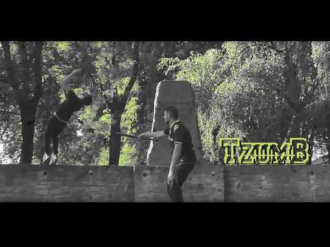 TzumB - Kann wenn Ich will 217 prod by PATOvision Beat by Dr. Dre