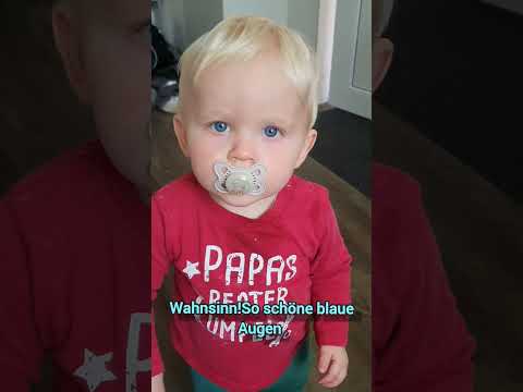 blaue Augen #max #shortvideo #augen