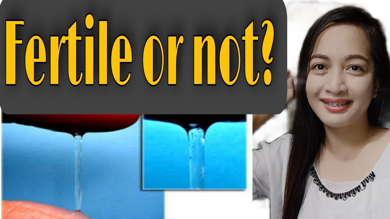 Paano malalaman kung fertile ang babae Halaga ng Cervical Mucus. @LIZ NURSE ORGANIST@SaramiFC
