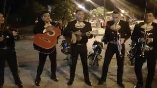Video de Mariachi México De Cúcuta
