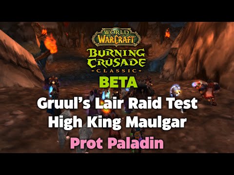 TBC Beta Gruul's Lair Raid Testing - High King Maulgar - Prot Paladin