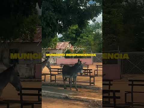 Municipio Independencia ￼ del estado Anzoátegui #turismo #viral #anzoategui
