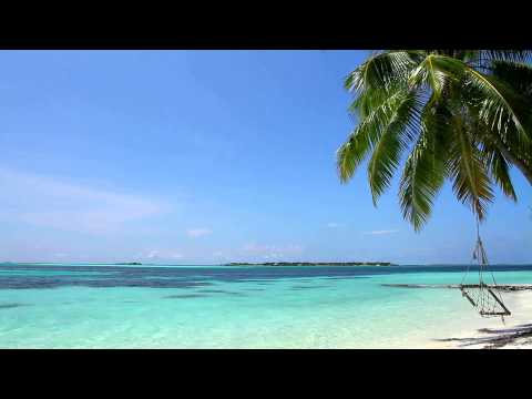 Relaxing Sounds of Waves - 2 Hours - Tropical Beach Relaxation Video