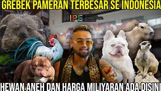 Download lagu GREBEK PAMERAN TERBESAR SE INDONESIA HEWAN ANEH DAN HARGA MILIYARAN ADA DISINI IIPE 2025 mp3 Download lagu GREBEK PAMERAN TERBESAR SE INDONESIA HEWAN ANEH DAN HARGA MILIYARAN ADA DISINI IIPE 2025 mp3