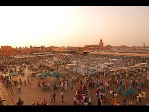 The Apprentice UK Series 4 Episode 7