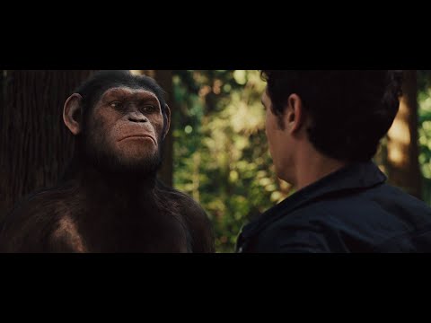 ROTPOTA In SB Caesar Is Home