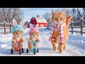 Mama Cat Cook Delicious Food Makes Tiger Hat For Kittens At Home