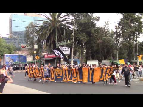"La Rebel, 17 años de locura y de pasión" Barra: La Rebel &bull; Club: Pumas