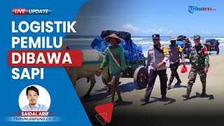 Distribusi Logistik Pemilu ke Daerah Terpencil di Pesisir Barat Dilakukan Pakai Gerobak Sapi