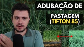 Adubação de PASTAGEM (TIFTON 85) Exemplo da consultoria AgroBrasil