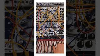 Making of my new song “What’s between us” #synth #buchla #makingasong #newmusic