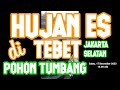 HUJAN KRISTAL ES POHON TUMBANG DI TEBET JAKARTA SELATAN SABTU 17 Desember 2022
