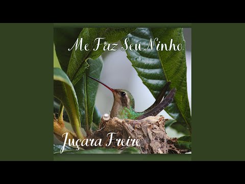 Me Faz Seu Ninho - Juçara Freire